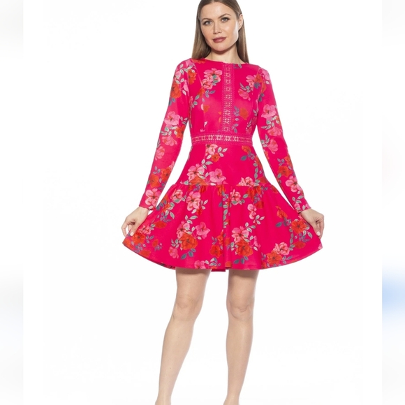 Alexia Admor Dresses & Skirts - A8 Alexia Admor mini dress size 6